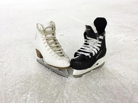 patinoire les coches